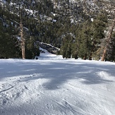 Looking down the face run, Waterman Mountain