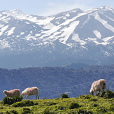 April 2015, Lefka Ori