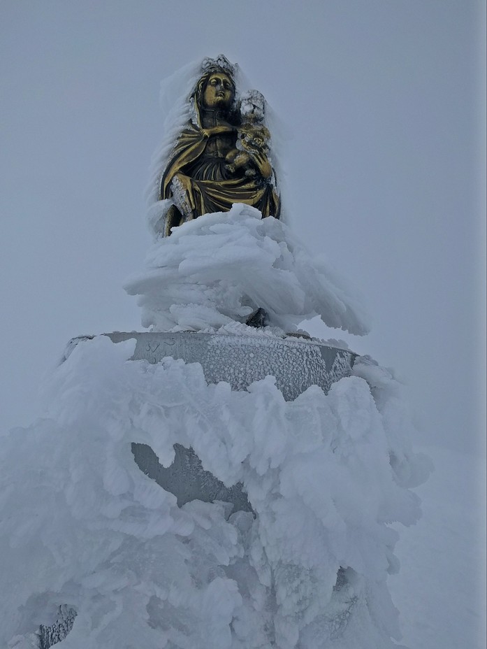 La Protectora de Moncacayo, Moncayo