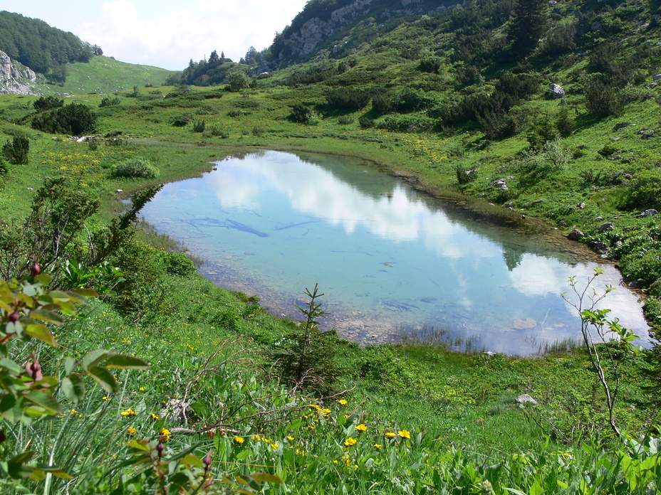 Platno jezero, Treskavica