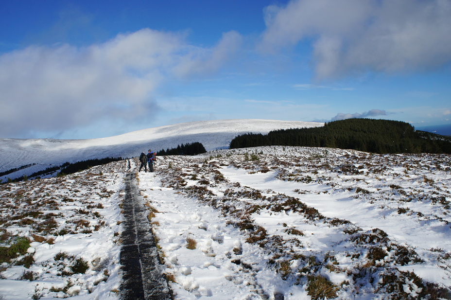 Boardwalk, White Hill, Ireland