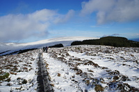 Boardwalk, White Hill, Ireland photo