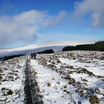 Boardwalk, White Hill, Ireland