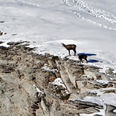 Olympos, Mount Olympus