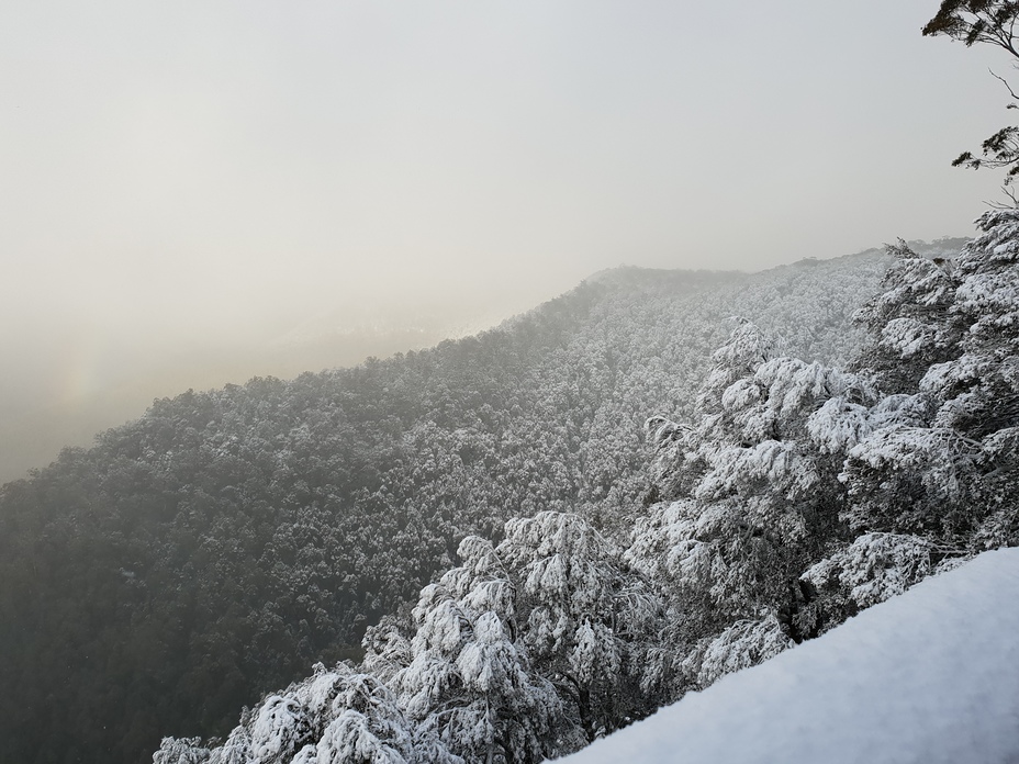 Barrington Tops