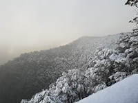 Barrington Tops photo