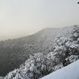 Barrington Tops