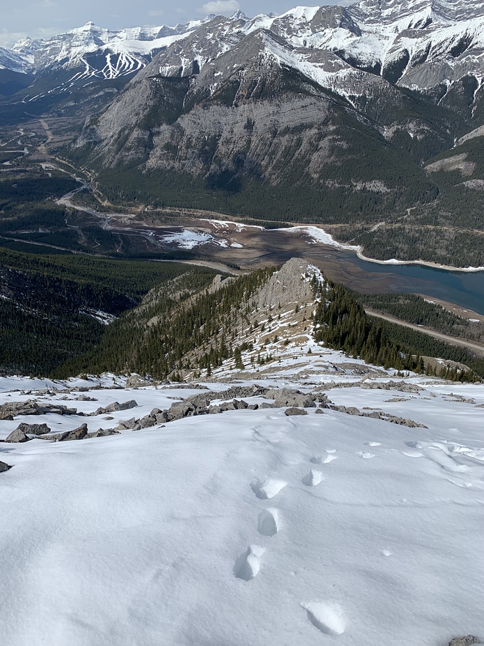 Mount Baldy