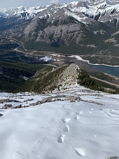 Mount Baldy photo