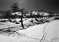 Winter Scene From Mount Hasan Turkey, Hasandag or Hasan Dagi photo