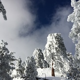 Mount Baldy (San Gabriel Range)