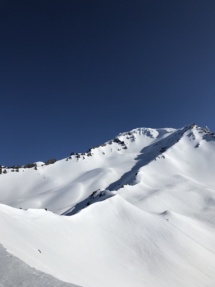 Delicious, Mount Shasta