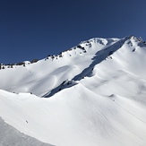 Delicious, Mount Shasta