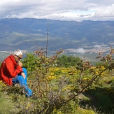 Canigou