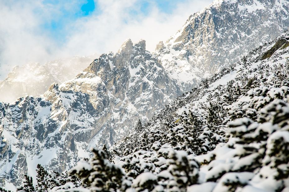 Volovec Tatra, Volovec (Tatra)