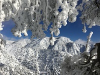 Lytle Creek - Feb2019, Mount San Antonio photo