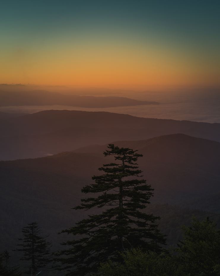 Clingman's Dome