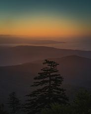 Clingman's Dome photo