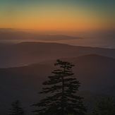 Clingman's Dome