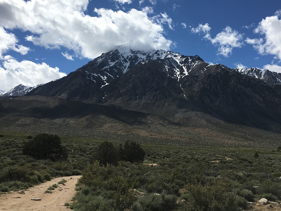 Mount Tom, Mount Tom (California)