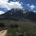 Mount Tom, Mount Tom (California)