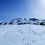 Mt.Yakushi, Mount Yakushi