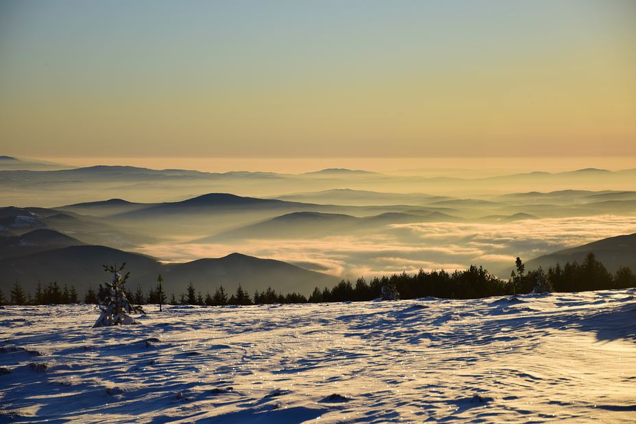 Vitosha