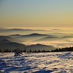 Vitosha