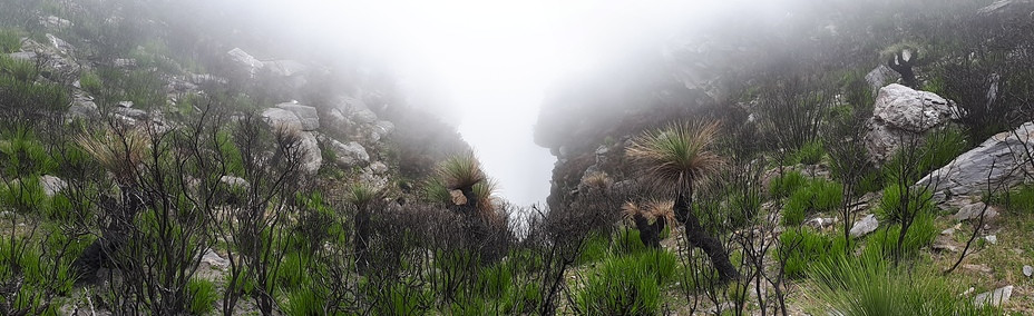 Bluff Knoll