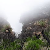 Bluff Knoll