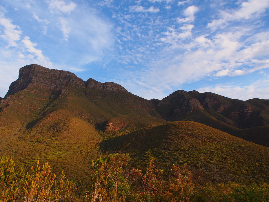 Bluff Knoll