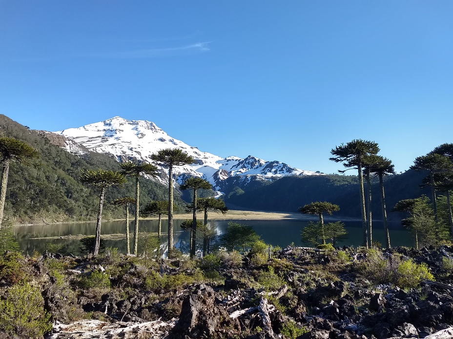 Volcan tolhuaca 