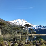 Volcan tolhuaca 