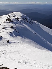 Eskdale9, Mount Bogong photo