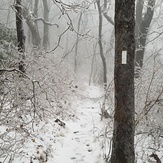 AT/Duncan Ridge Intersection, Blood Mountain