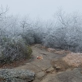 Rock Outcrop near Blood Mountain Summit