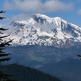 Glorious Mt. Adams, Mount Adams