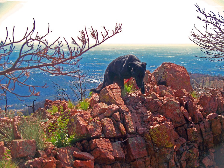 Top of Petkash Peak