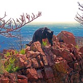 Top of Petkash Peak