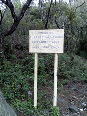 Volcán de Fuego photo