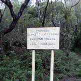 Volcán de Fuego