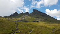 The Cobbler photo