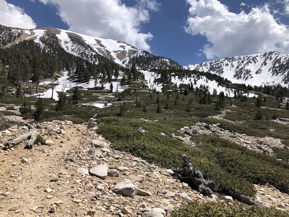 San Gorgonio and Jepson June 14, 2019