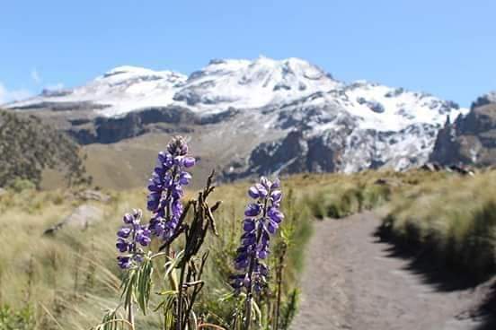 Iztaccihuatl