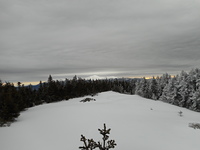 Mount Hale, Twin Range, White Mountains, NH, Mount Hale (New Hampshire) photo