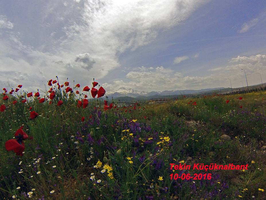 Erciyes Dagi