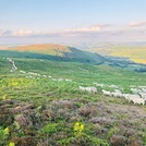 Beacon Hill, Powys