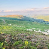 Beacon Hill, Powys