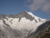 Aletschhorn photo