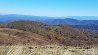 Max Patch photo
